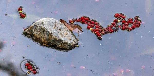 Kustwerke entstehen in der Natur