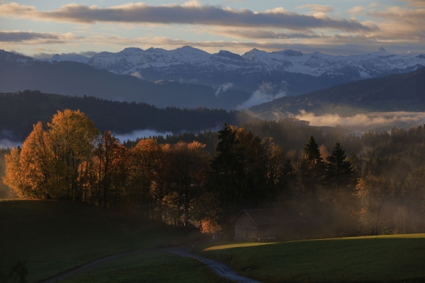 Der Blick morgens vom Balkon...