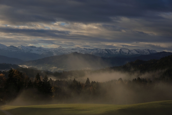 Nebel im Allgäu