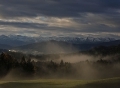 Nebel im Allgäu