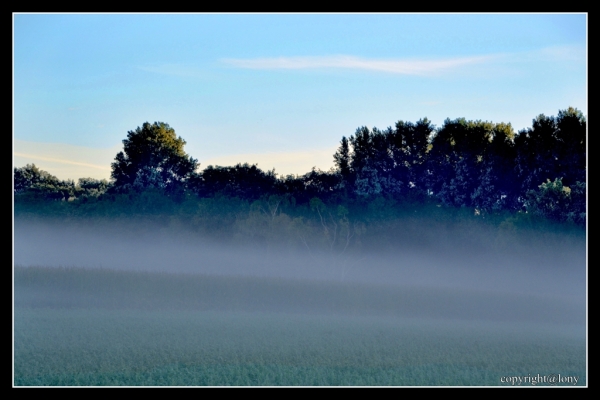 Erst Nebel verhangen dann