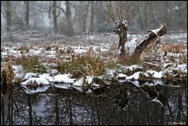 Im Naturschutzgebiet