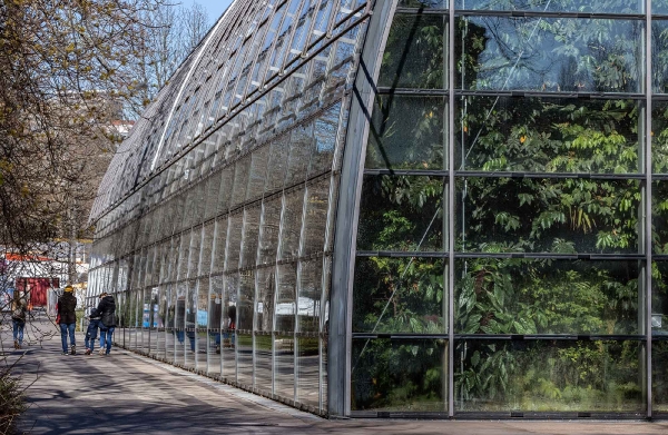 Das Amazonienhaus in der Wilhelma.