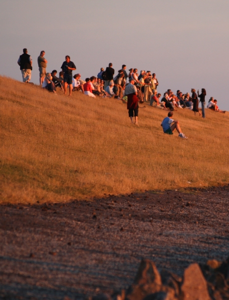 Sonnenanbeter auf Föhr...