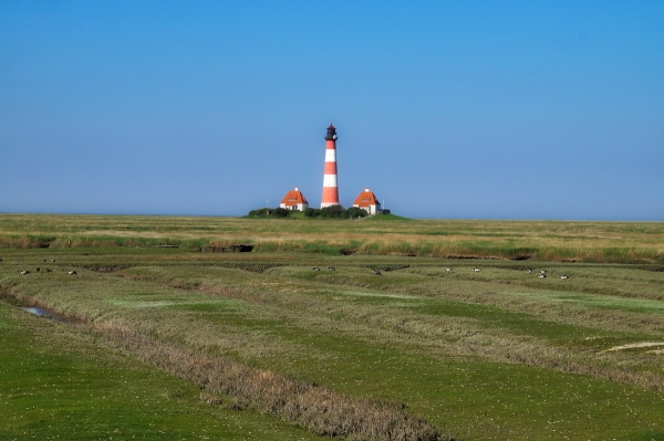 Leuchtturm Westerheversand Landschaft 