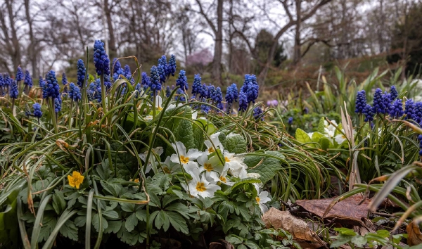 Es ist sichtlich Frühling