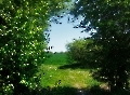 Landschaft im Frühling