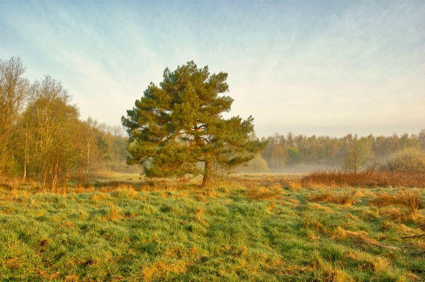 Feld nähe Alsterquelle