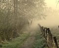 Feldweg im Duvenstedterbrook