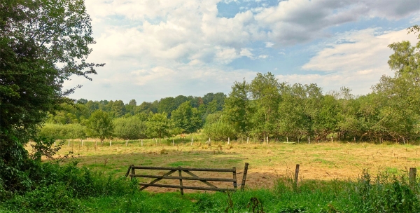 Die Landschaft genießen