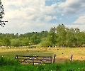 Die Landschaft genießen