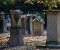 Auf dem Friedhof bei den Hörnchen ist es schon recht  herbstlich