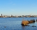 Skyline Außenalster Hamburg