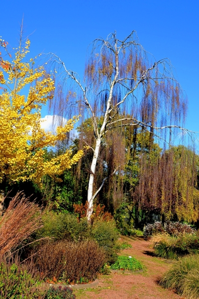 Die letzten schönen Herbsttage