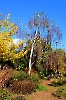 Die letzten schönen Herbsttage