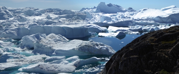 Wir sind am Illuisat-Eisfjord angekommen