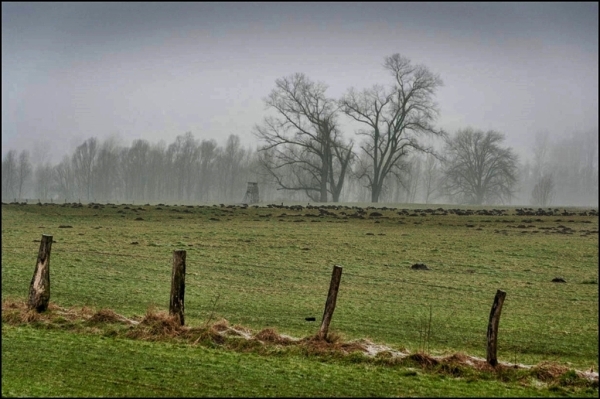 Nebel macht sich breit.