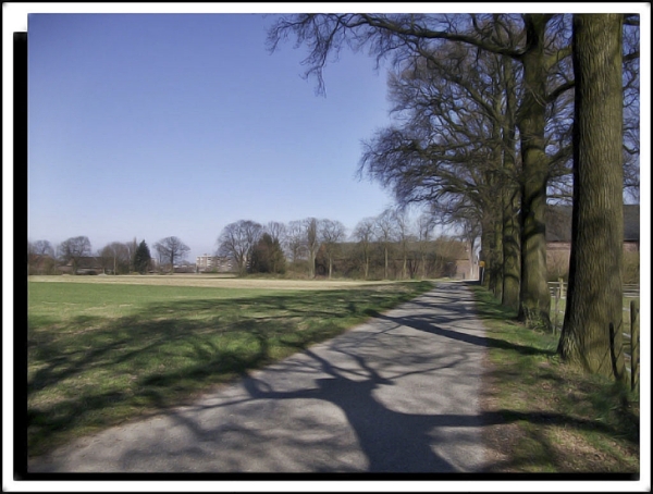 Auch ein Kahler Baum würft seine Schatten