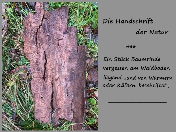 Kunstwerk der Natur