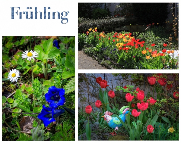 Frühling 