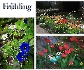 Frühling 