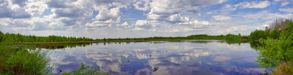 Panorama Himmelmoor Mai