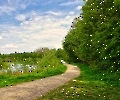 Schlangenweg im Himmelmoor