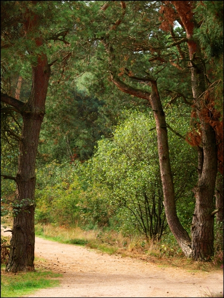 Natur im September 2