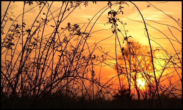 Natur im September 3