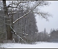 Schnee von gestern ( 2 )