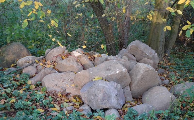 Steine im Wald