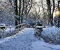 Brücke in der Wintersonne