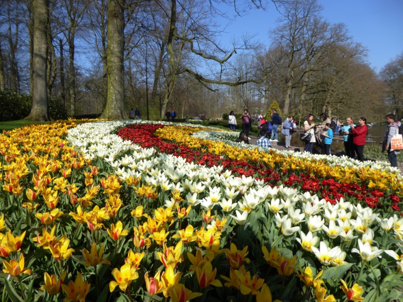 Spaziergang im Keukenhof, NL