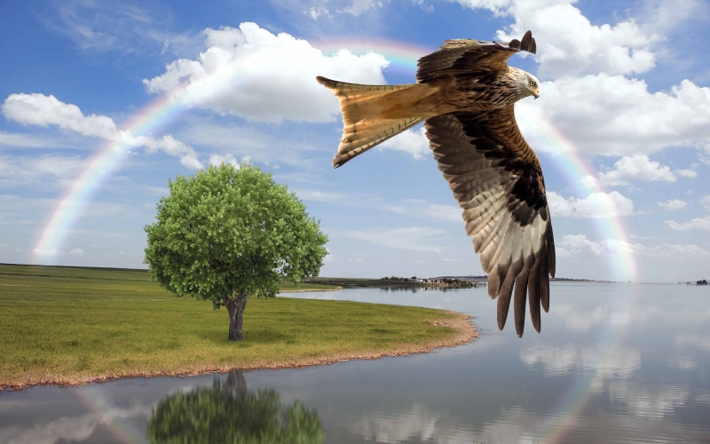 Flug im Regenbogen