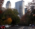 Bin  am Central Park, NY