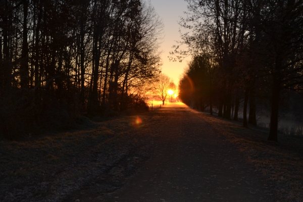 Am Abend im Spätherbst