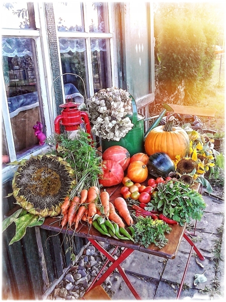 Die Ernte ist eingefahren, der Winter kann kommen