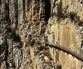 Camanito del Rey