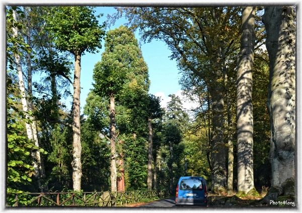 Blauer Himmel und viel Sonne,