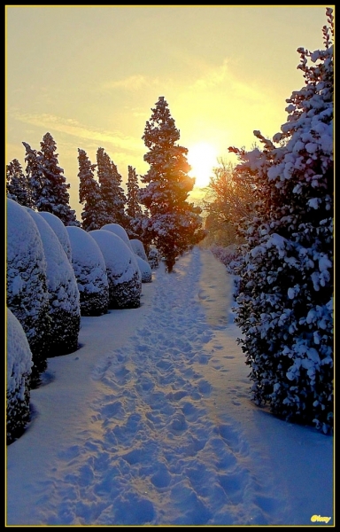 Als der Schnee sich türmte