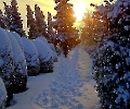 Als der Schnee sich türmte