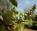 Hurra hurra der Frühling ist da