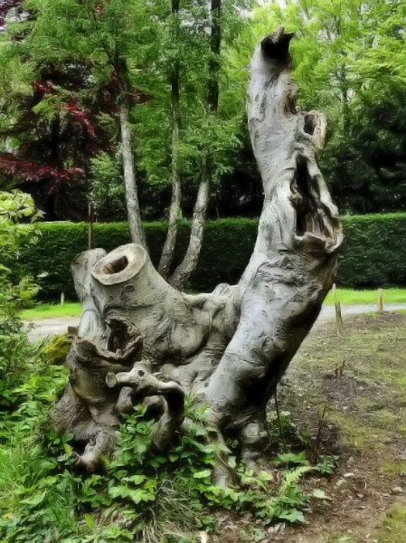 Es war einmal ein Baum