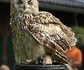 Vogelpark Hellenthal in der Eifel