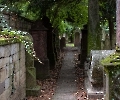 Historischer Friedhof