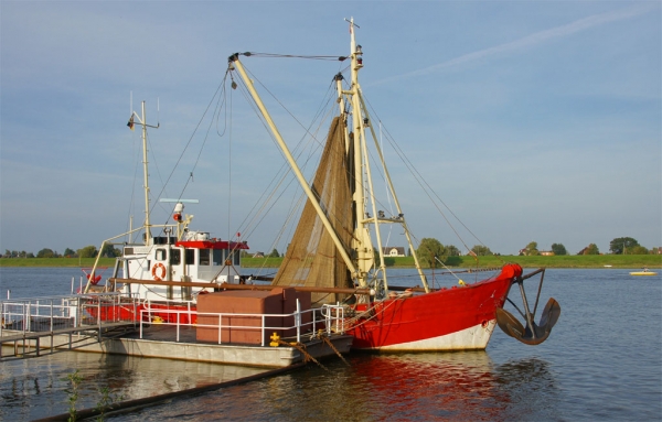 Kutter an der Elbe