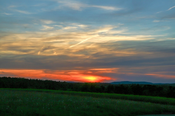 Grüne Wiese am Abend