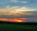 Grüne Wiese am Abend