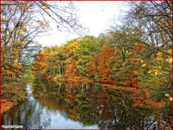 Bunter Herbst