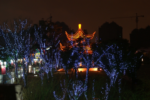 Japanischer Park by Night